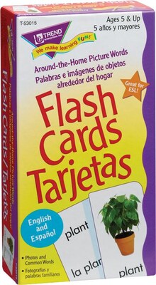 Flash Cards, Spanish, Objects Around The Home