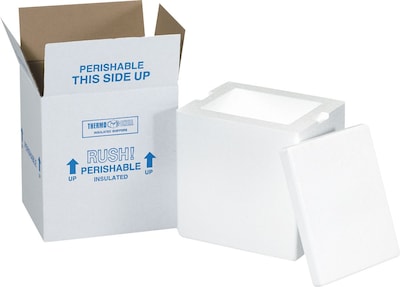 SI Products Insulated Shipper,  8 x 6 x 9, White, Each (209C)