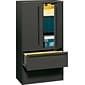 HON® 700 Series 2 Drawer Lateral File Cabinet w/Roll-Out & Posting Shelves, Charcoal, Letter/Legal, 36"W (HON785LSS)