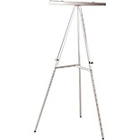 National Industries Display Tripod Easel, Silver (7520014567876)