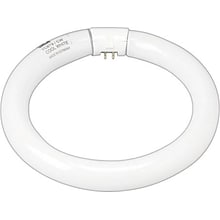 22 Watt GE 8 Diameter T-9 Circline Fluorescent Tube, Cool White