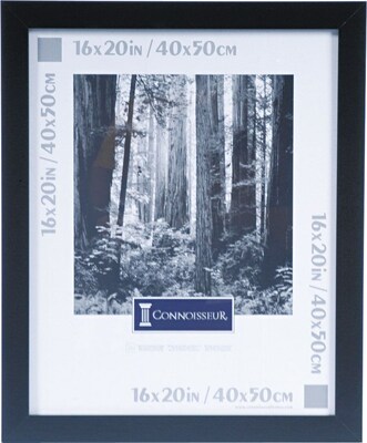 DAX Black Wood Poster Frame, Plexiglas® Window, 16 x 20