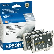 Epson T054 Gloss Standard Yield Ink Cartridge, 2/Pack