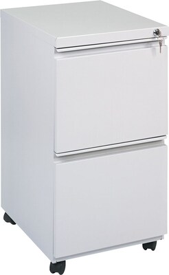 Alera 19 Deep, 2 Drawer Full Length Pull Mobile Vertical File Cabinet, Light Gray