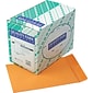 Quality Park Gummed Catalog Envelope, 9" x 12", Kraft, 250/Box (QUA41460)