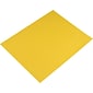 Pacon Paper Poster Board, 22" x 28", Lemon Yellow, 25/Carton (54721)