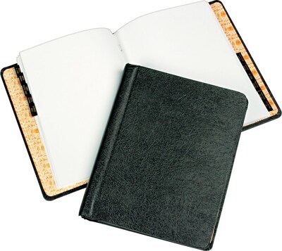 Wilson Jones Corporate Record and Minute Book Outfit, 11 x 8 1/2, 11 division leather style tab