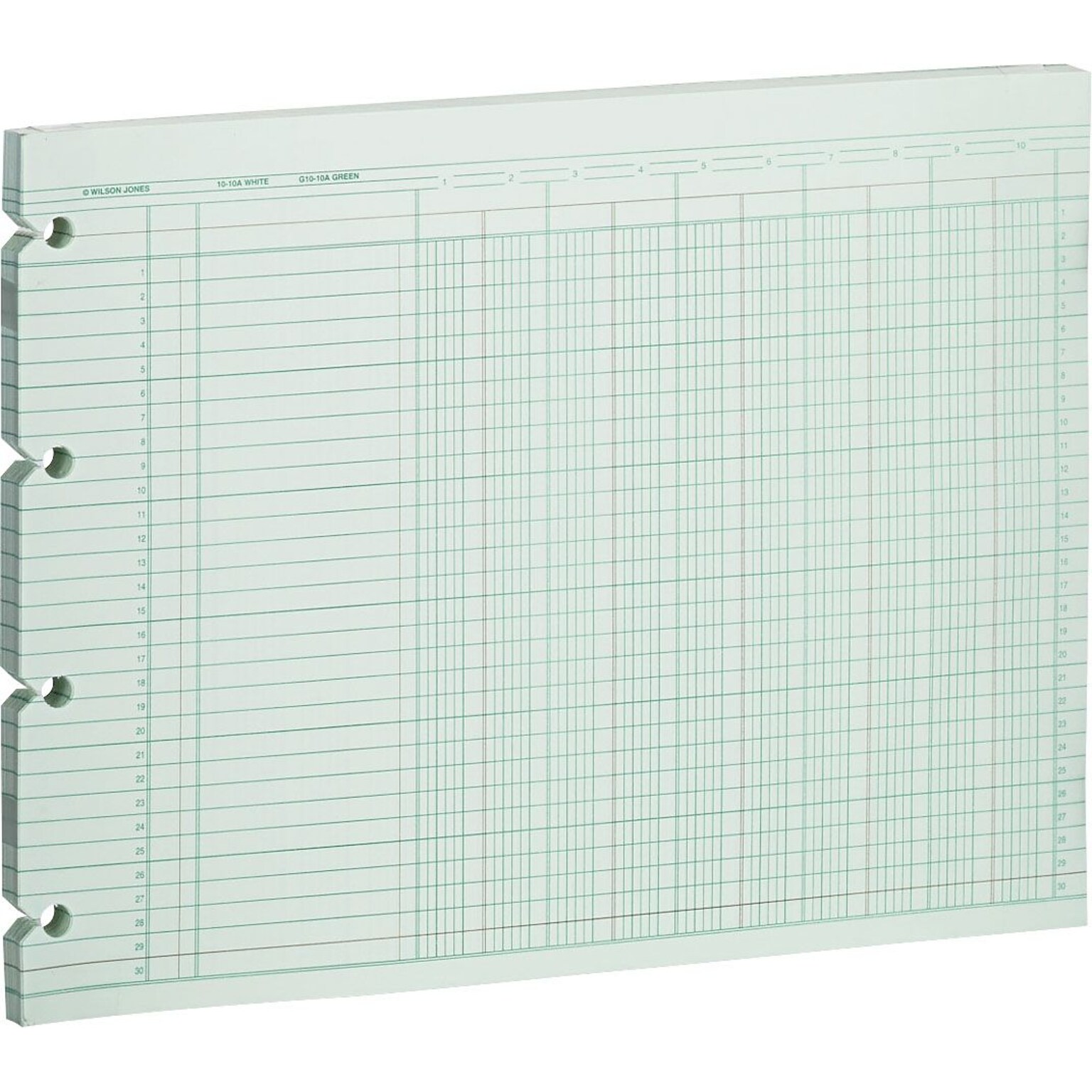 Wilson Jones Columnar Ruled Sheets, 10 Columns, 9.25 x 11.8, Green, 100 Sheets/Pack (WG10-10AA)