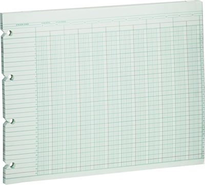 Wilson Jones Columnar Sheets, Ledger Paper, Ruled, 30 Lines, 20 Columns, Green Paper, 9 1/4 x 11 7/