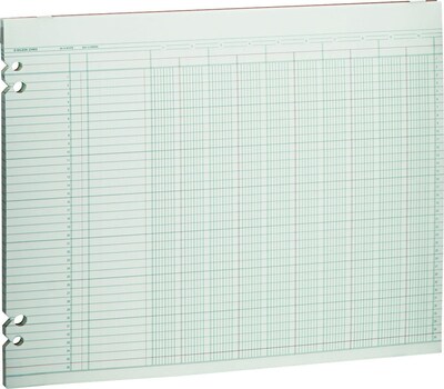 Wilson Jones Columnar Sheets, Ledger Paper, Ruled, 36 Lines, 10 Columns, Green Paper, 11 x 14, 100/Pk