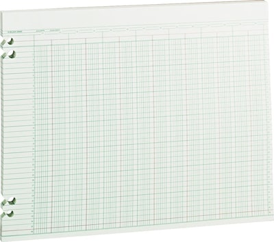 Wilson Jones Ledger Paper, 24 Columns, 11 x 14, Green, 100 Sheets (WLJG3024)