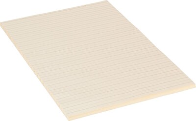 Pacon Manila Tag Chart Paper, 24 x 36, 1 1/2 Ruling, 100 Sheets/Pk