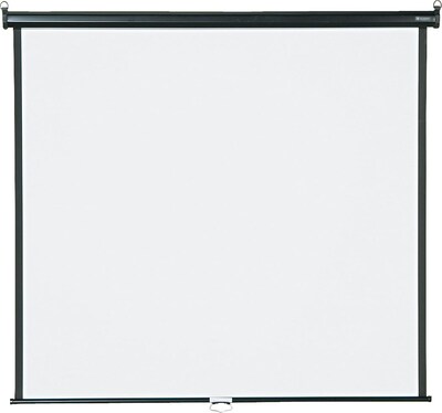 Quartet® Wall/Ceiling Projection Screen, 60 x 60, High-Res, Matte Surface