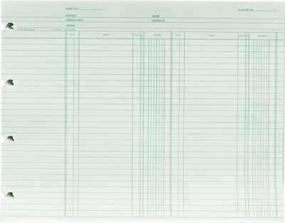 Green Double-Entry Ledger Forms, Both Sides Alike, 9-1/4 x 11-7/8, 100/Pack (WLJGN2B)