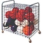 Lockable Ball Storage Cart with Hinged Cover, Holds up to 24 Assorted Balls (CHULFX)