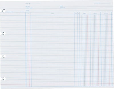 Wilson Jones® Balance Ledger Sheets with Form Ruling D, White, 9-1/4x11-7/8