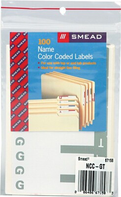 Alphabetical Character Labels, G And T, Gray, 100/Pk