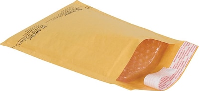 5 x 9 Bubble Cushioned Mailers, #00, 180/Carton (B852SSR)