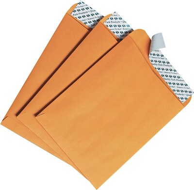 Quality Park Redi-Strip Self Seal Catalog Envelope, 6 x 9, Kraft, 100/Box (44162)