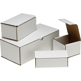 Staples Crushproof Mailers, 6 x 4 x 2, White, 100/Bundle (62-060402)