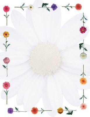 Fun Paper Letterhead, Daisies