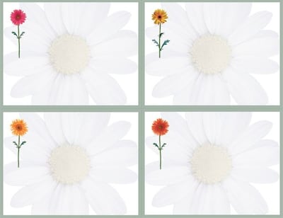Great Papers® Daisies 4-Up Postcards, 40/Pack