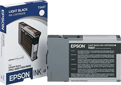 Epson T543 Light Black Standard Yield Ink Cartridge