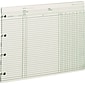 Wilson Jones Ledger Paper, Balance Ledger, 9 1/4" x 11 7/8", Green, 100 Sheets (WLJGN2D)