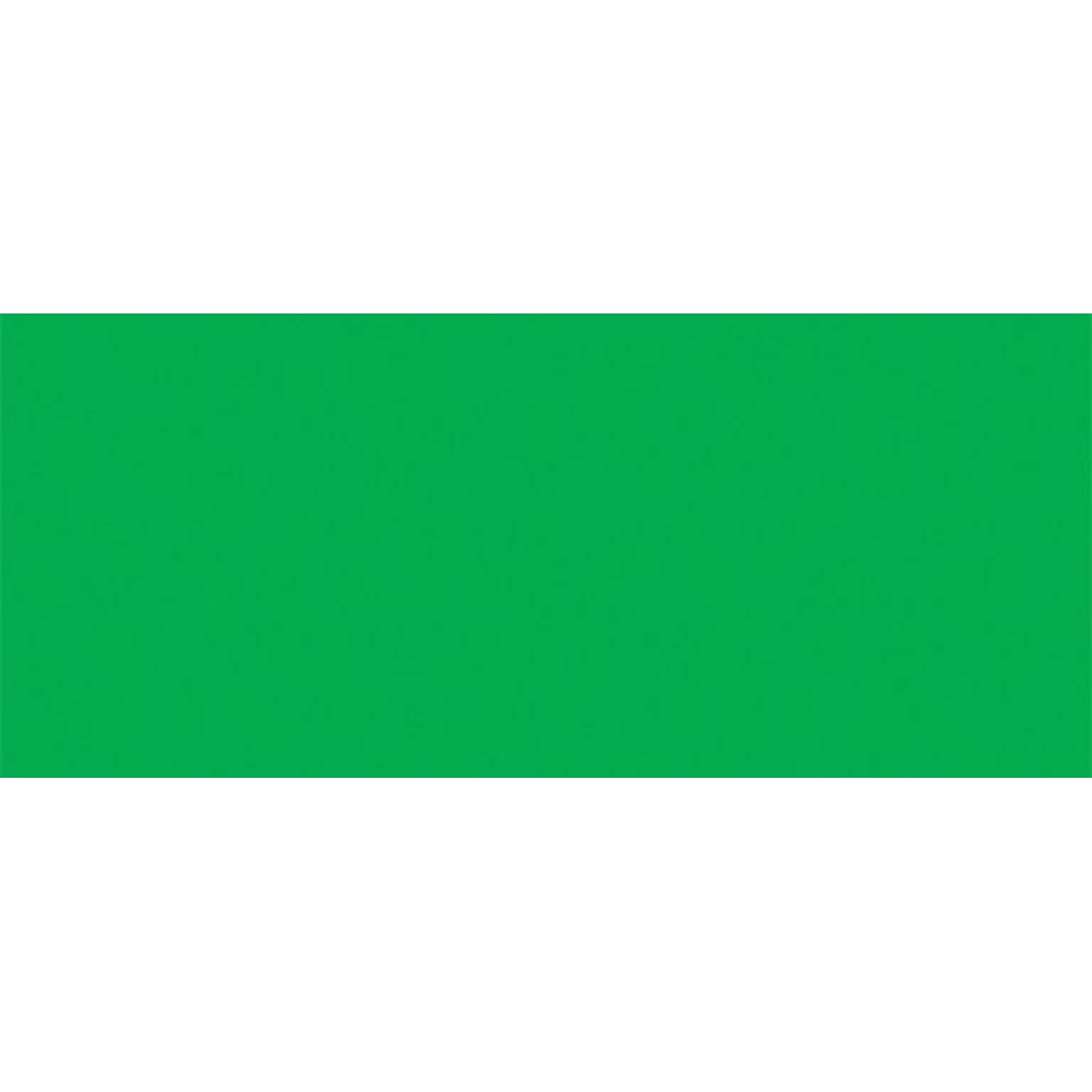 Masterpiece Studio® #10 Envelopes; Green, 25/Pk