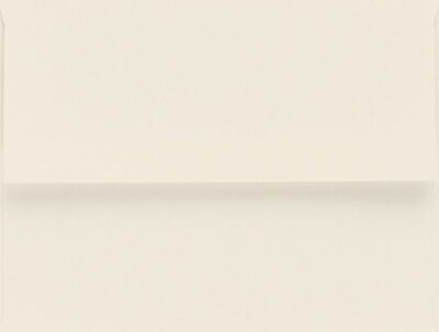 Masterpiece Studio® Ivory A-2 Envelopes
