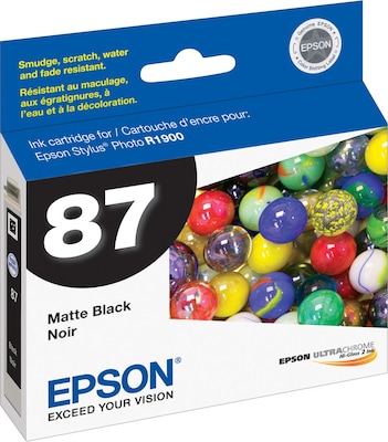 Epson T87 Ultrachrome Black Matte Standard Yield Ink Cartridge
