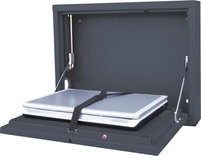 Sandusky Lee® Wall-Mount Laptop Security Cabinet