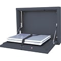 Sandusky Lee® Wall-Mount Laptop Security Cabinet