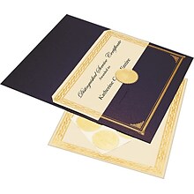 Geographics® 8 1/2 x 11 Foil Embossed Award Certificate Kit, Blue Metallic