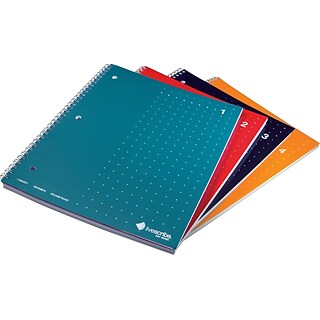 Livescribe Smartpen Notebooks Series 1 - 4