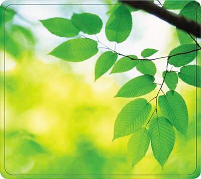 Fellowes Recycled Mouse Pad, Branch Leaves (5903801)