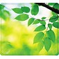 Fellowes Recycled Mouse Pad, Branch Leaves (5903801)