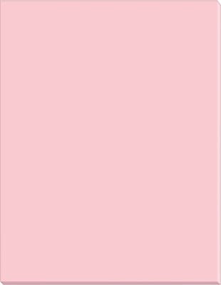 Riverside Groundwood 18 x 24 Construction Paper, Pink, 50 Sheets/Pack (103456)