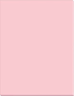 Riverside Groundwood 18 x 24 Construction Paper, Pink, 50 Sheets/Pack (103456)