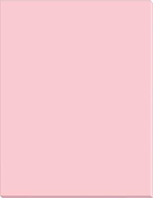 Buy Riverside Construction Paper, Pink, 18x24, 50 Sheets Online at  desertcartParaguay