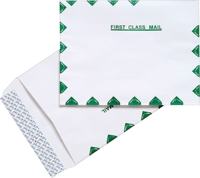 Staples® Quick Strip First-Class Catalog Envelopes; 9 x 12 100/Box (486929/14264)