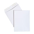 Staples® Wove Catalog Envelopes; 9 x 12, White, 250/Box (486949/17039)