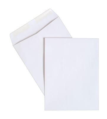 Staples® 10" x 13" White Wove Catalog Envelopes; 250/Box (486954/17040)