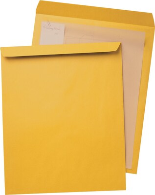 Quality Park Unsealed Catalog Envelope, 22 x 17, Kraft, 25/Box (42356)