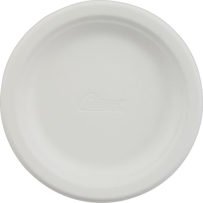 Chinet Paper Dinnerware, 10-1/2 Plate, White, 500 Plates