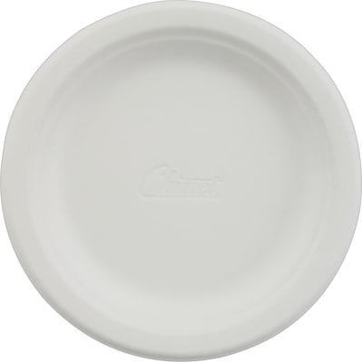 Paper Plates - 9 Heavy-Duty, White - 500pk