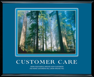 Customer Care Framed Motivational Print