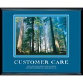 Customer Care Framed Motivational Print
