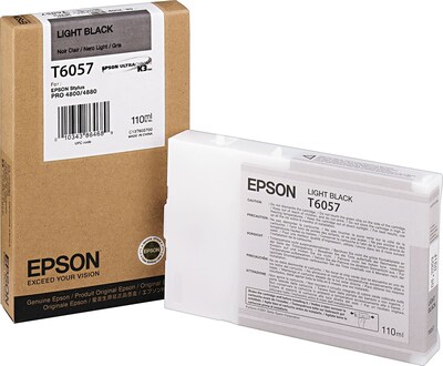 Epson T605 Light Black Standard Yield Ink Cartridge