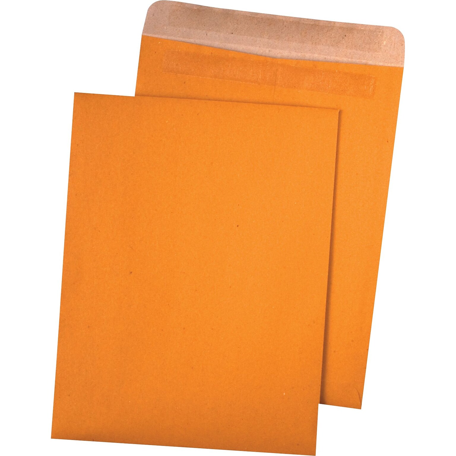 Quality Park Redi-Seal Kraft Catalog Envelope, 9 x 12, Brown, 100/Box (43511)